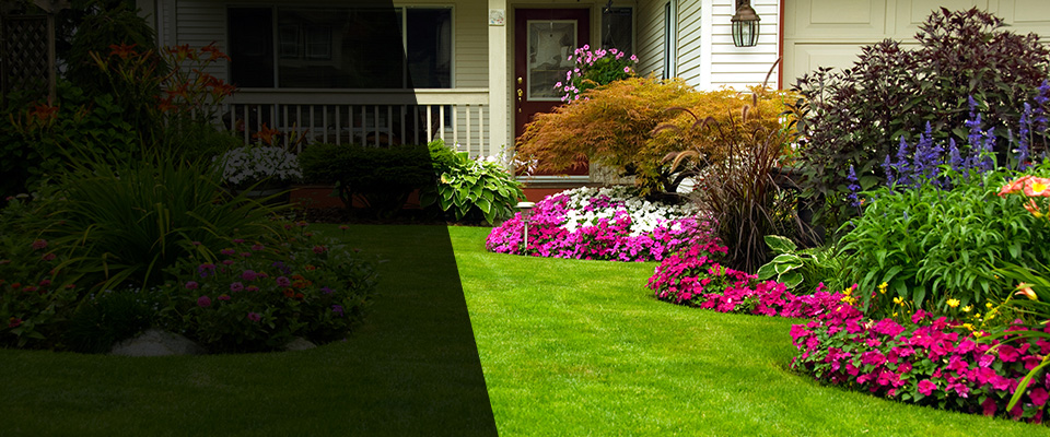 Higley Landscapers
