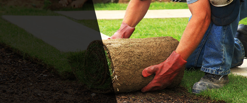 Higley Landscapers